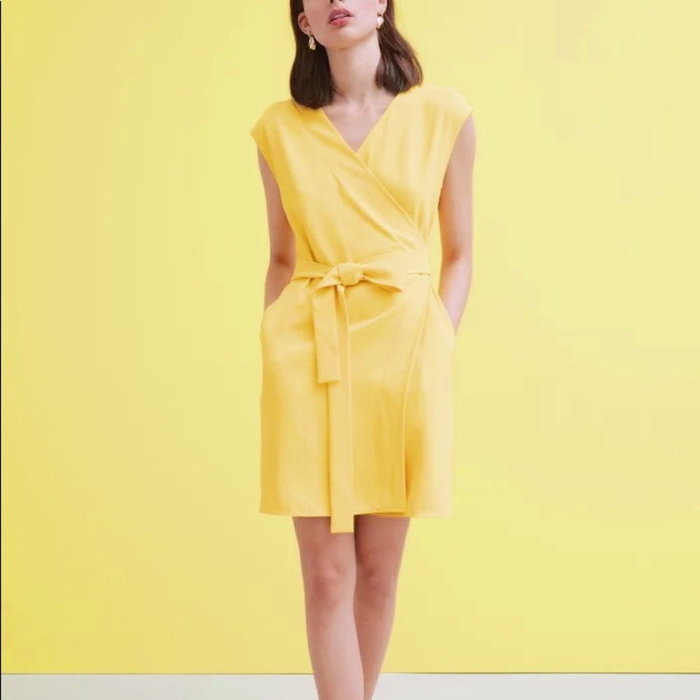 Everlane Japanese GoWeave Short Sleeve Dress